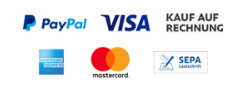 Mehr Informationen zu Pay Pal Bezahloptionen